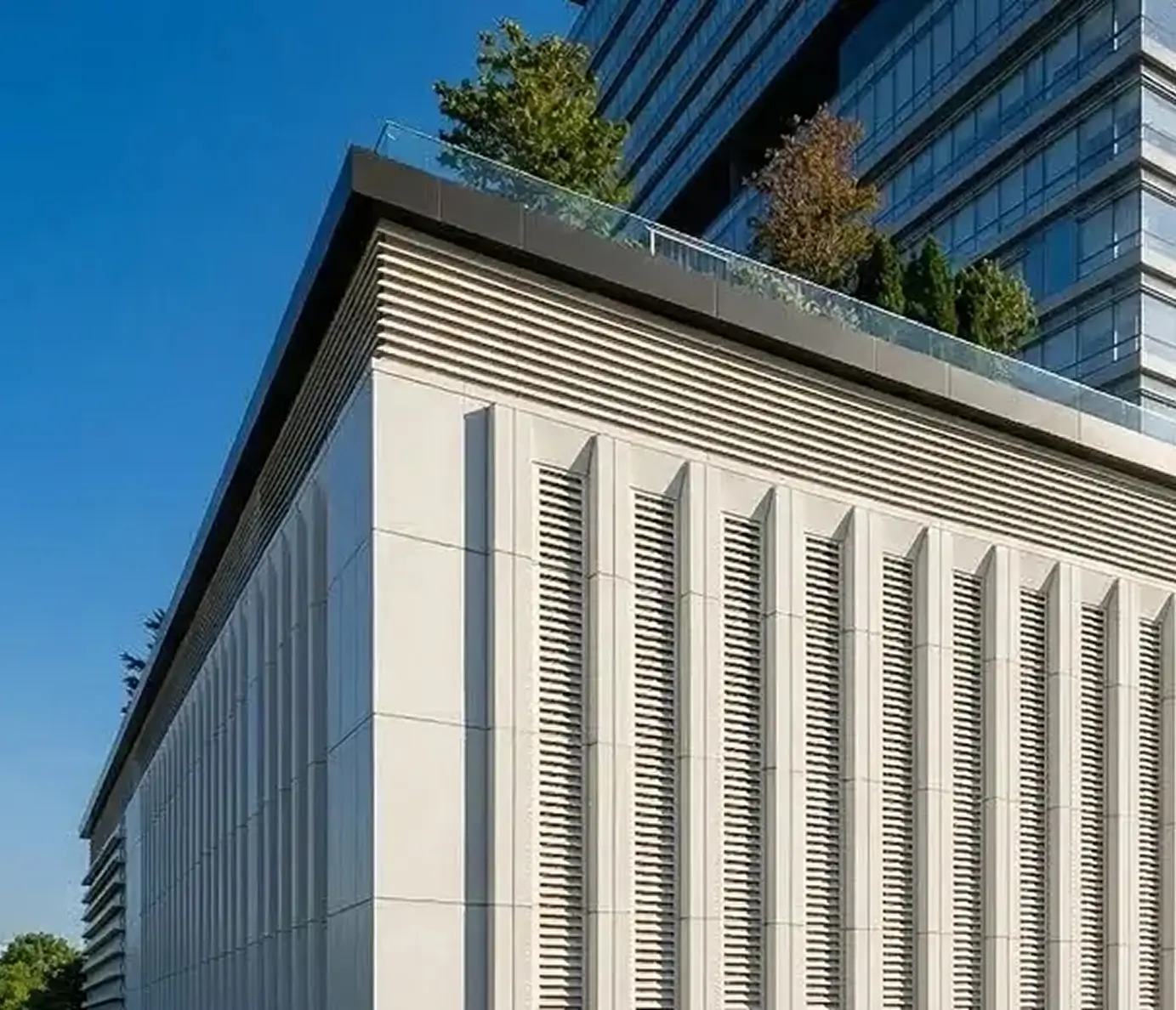 Magnolia Edgemont Architecture